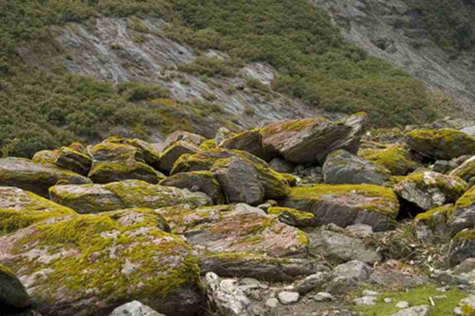 ����Ƭ�ҳ����ϡ��������ƴ����ڹ�԰��