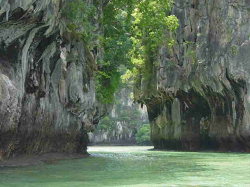 ��ʱ������Щˮ����֧����ب����ʯǰ��