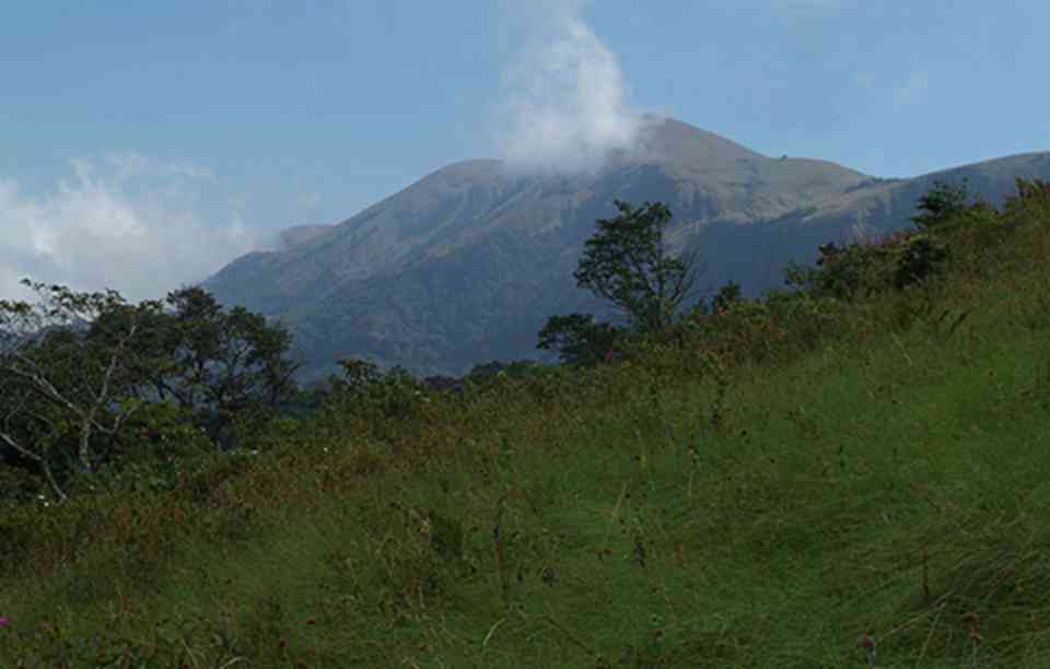 ���ϵ�������԰���ֲ�������Եķִ�����