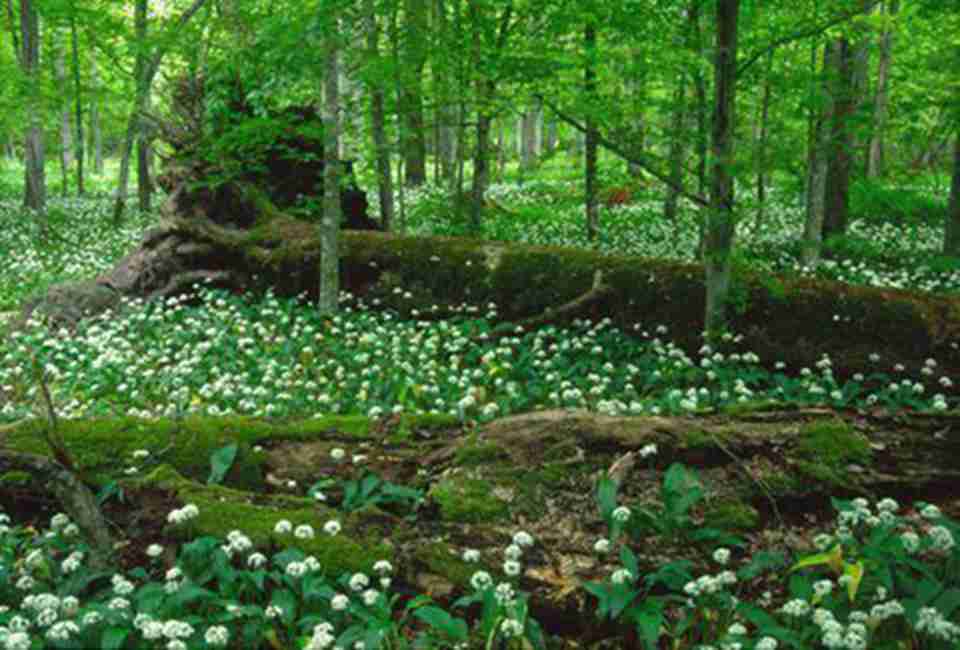 ������ŷ�޴�½����Ļ�Ұ�͵�