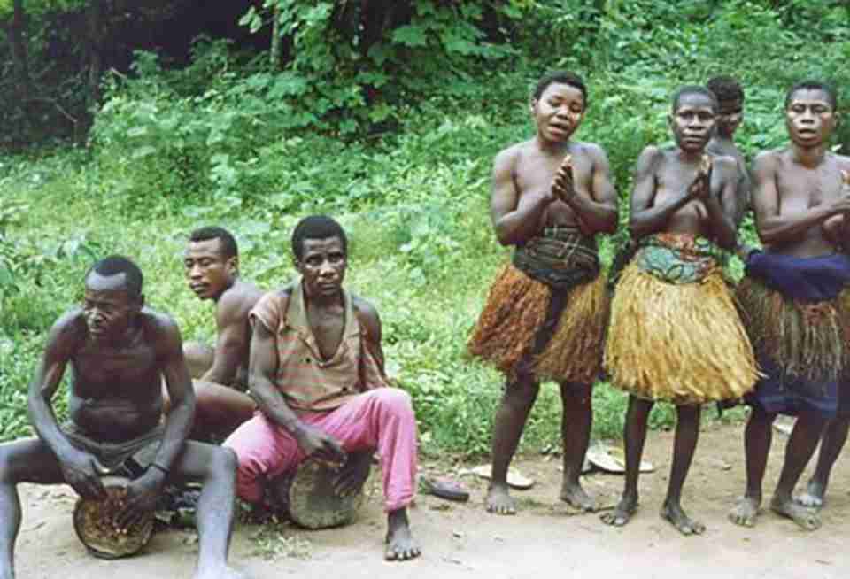 �ڱ��ݵĹ����У�ÿ���ݳ��߶����Ա任����