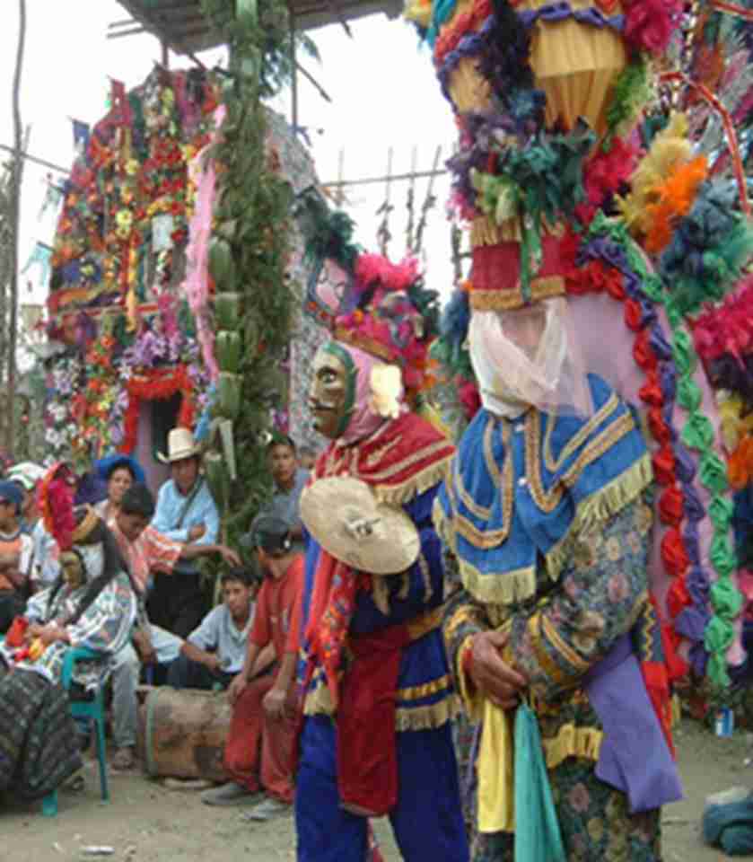 ��ͷ�������������һȺ���������