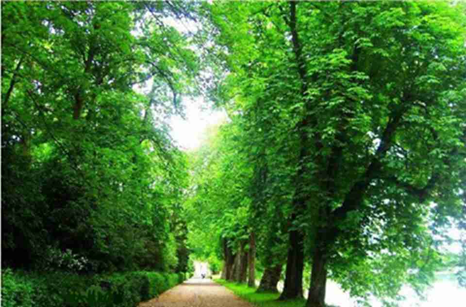 3 �����صȶ�λ�������������ڷ㵤��¶����԰�־�ס��