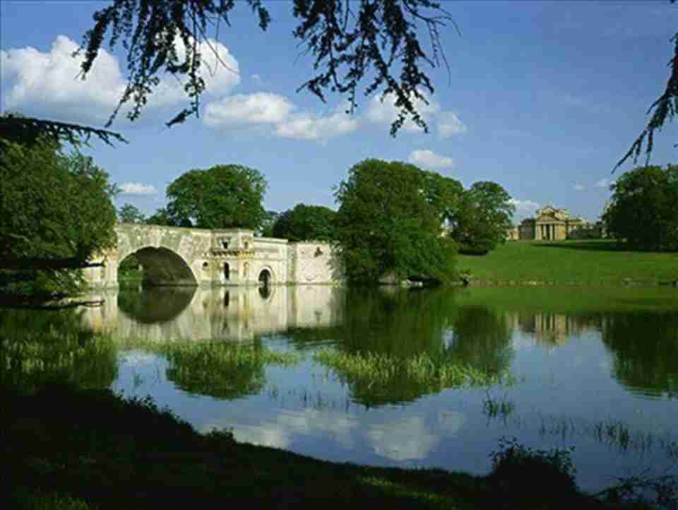 ������ķ�����ڸ���ķ�ӱߣ�԰�����ʦͨ������̰�������������״�����ĺ���