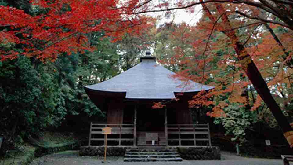 ������ԺҲ����Ϊ�������ǵ��͵ķ�̾���