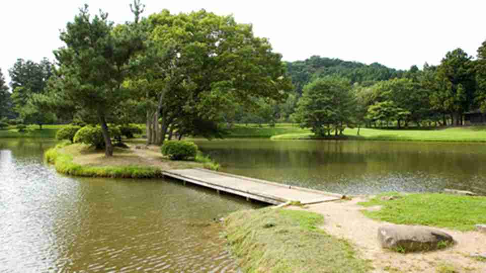 ����ǧ��ķ�˪��ԭ����ͥԺ��ò���Ѳ������������������ֵĹ�԰