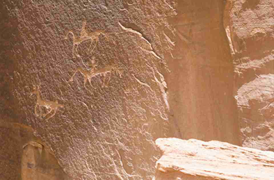 �ż��ڵ�ͼ��