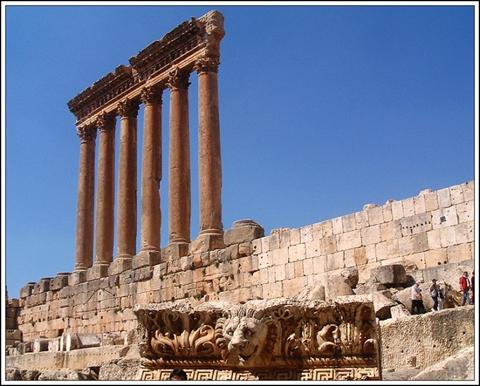 �Ϳ�˹�������ıں�ʯ���Ͽ��и��־�ϸ�����Ļ���ͼ��