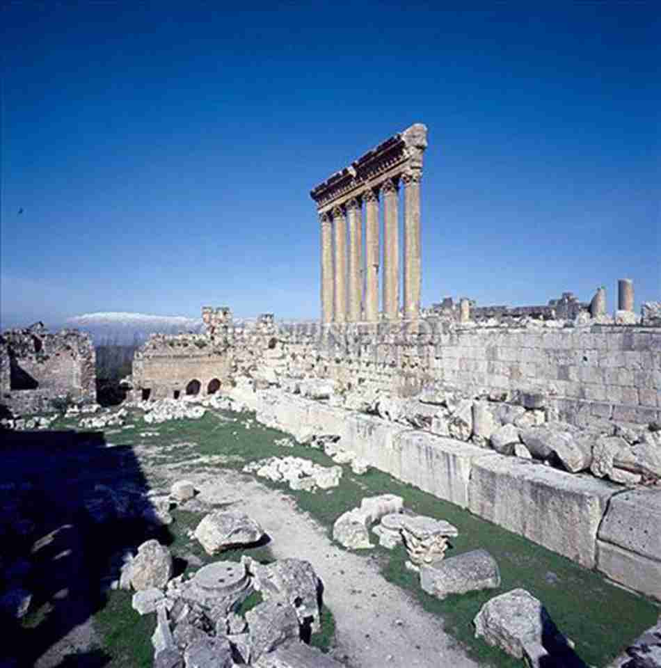 ���������ǰ��ձ��˹���������Ⱥ����ʷ��á���ģ�����������ΰ��