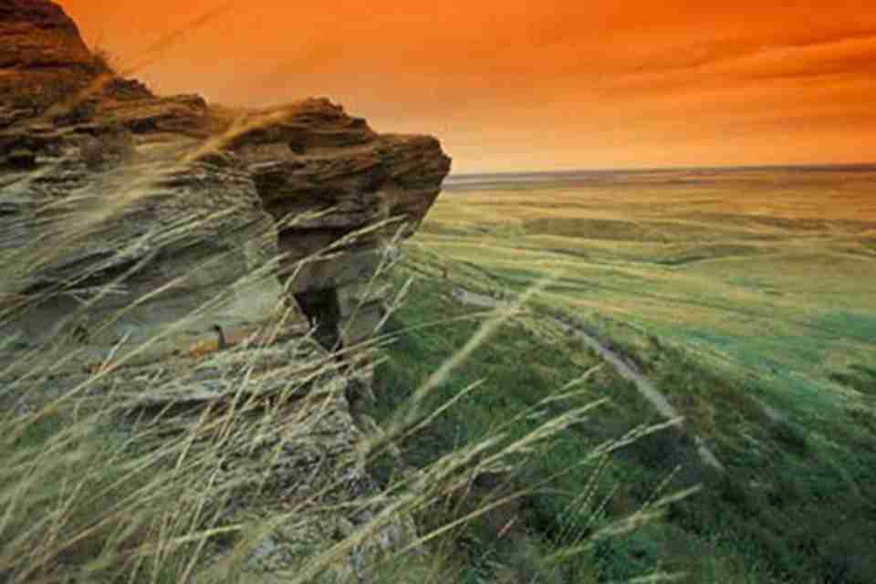 ���������µײ�������Ұţ��ʬ��