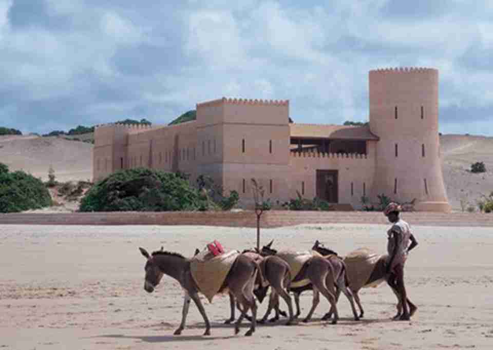 ���κ�С���ﶼ����������ë¿��������ĵ��ؾ���