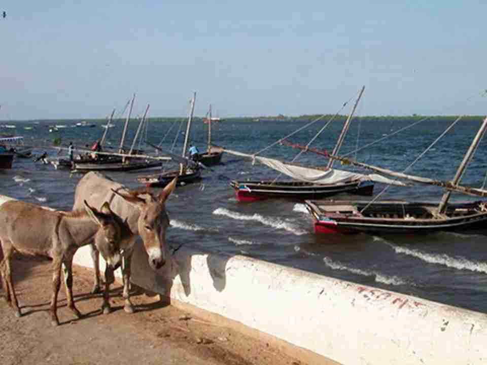 ���ص�¿��Ҳ֪����������