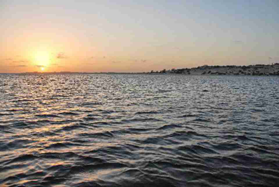 ���¹���������羰