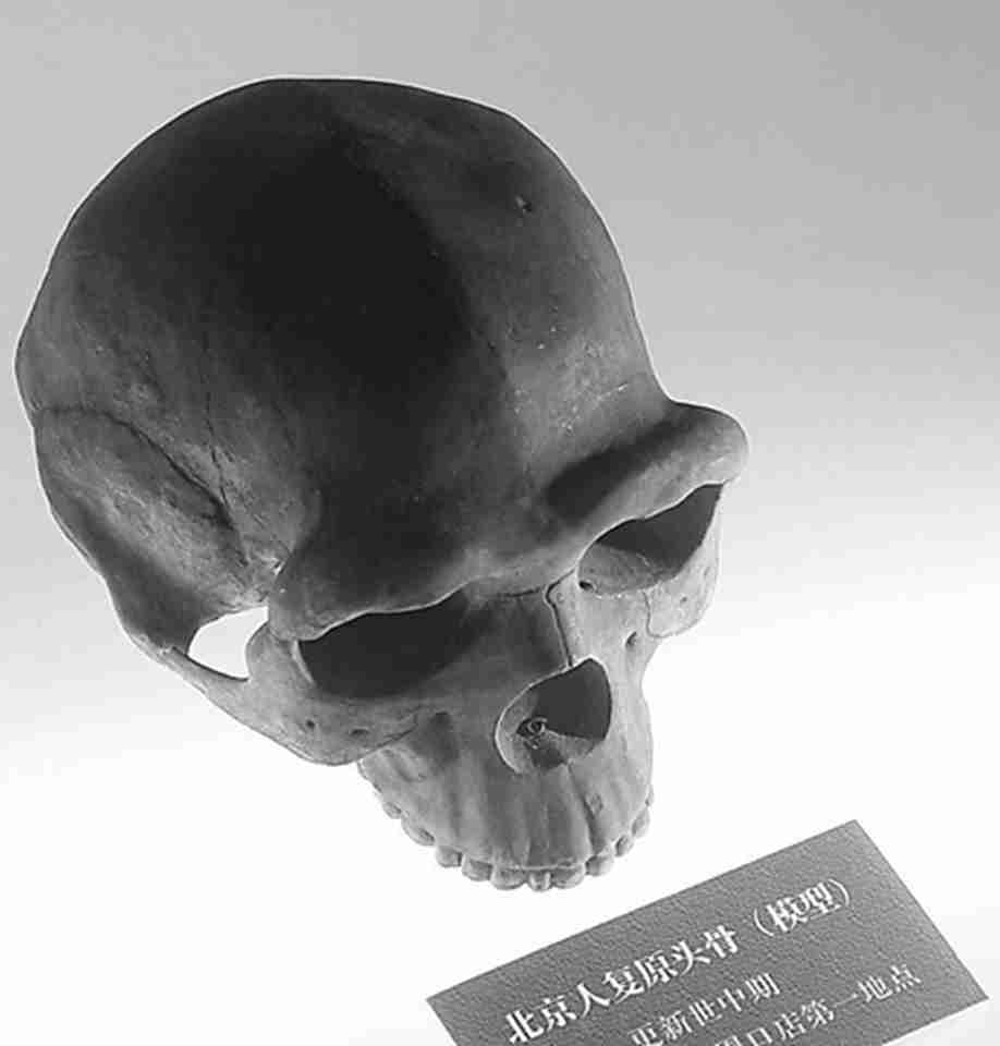 ����Գ�˻�ʯ������ͷ�ǹ�6��