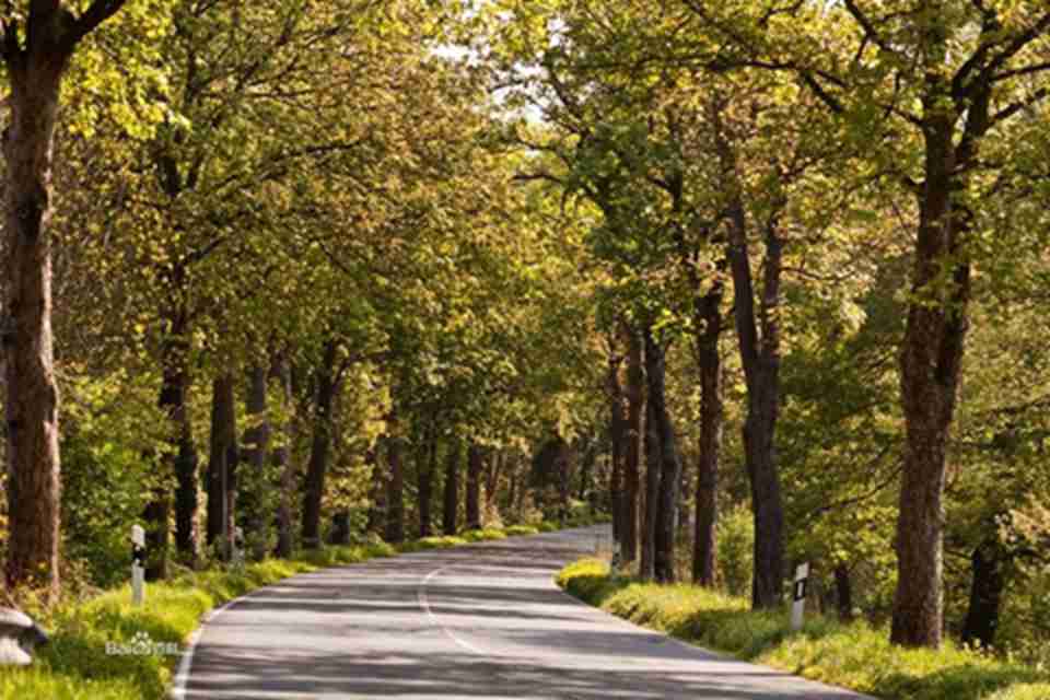 �������������Ȼ����