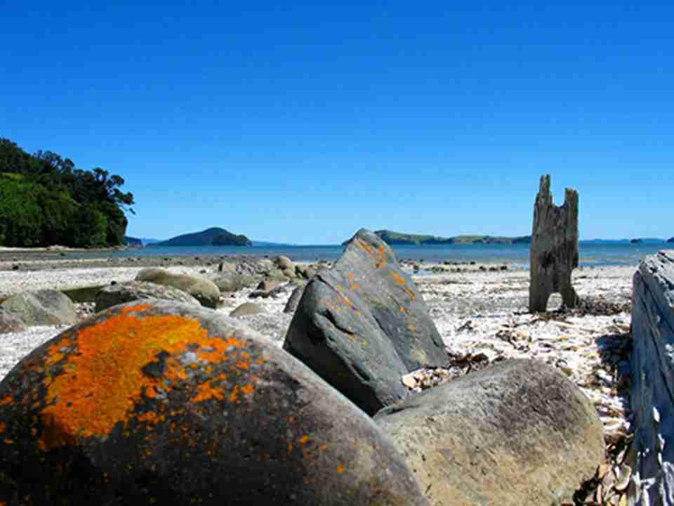 ����λ�������޴�½����