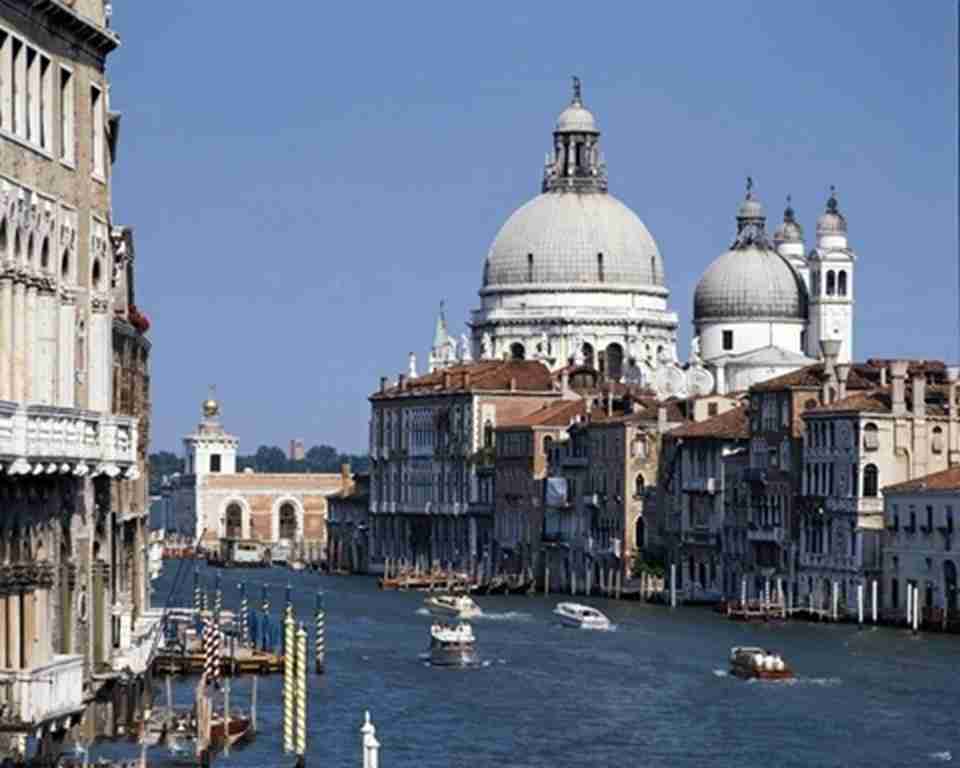 ������ųǽ������