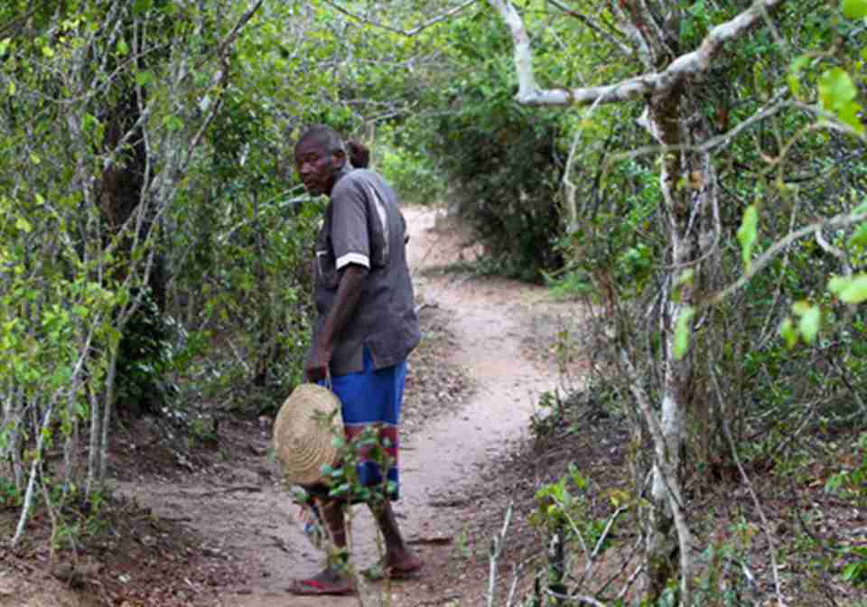 �������������дʵ��߻ش�����