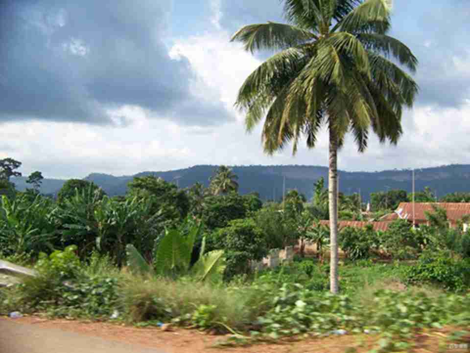 ���ܻ����������де�ɭ�֣���ɫʱ������