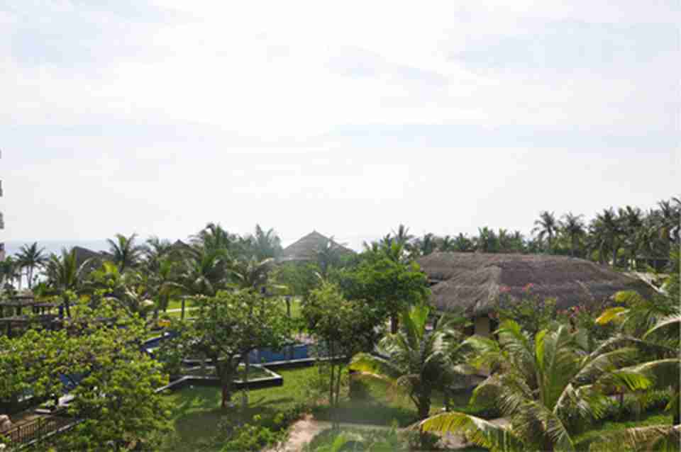 ����Ժ��ȴ���Ҷ������ӳ�£�����ǧ��ų�װ���Ѥ������