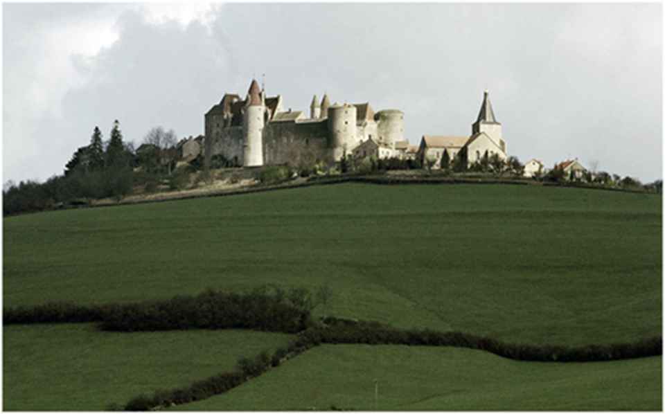 ���������޵�Ժ����һƬ��������Ĳ��޵�ɽ�Ƚ����