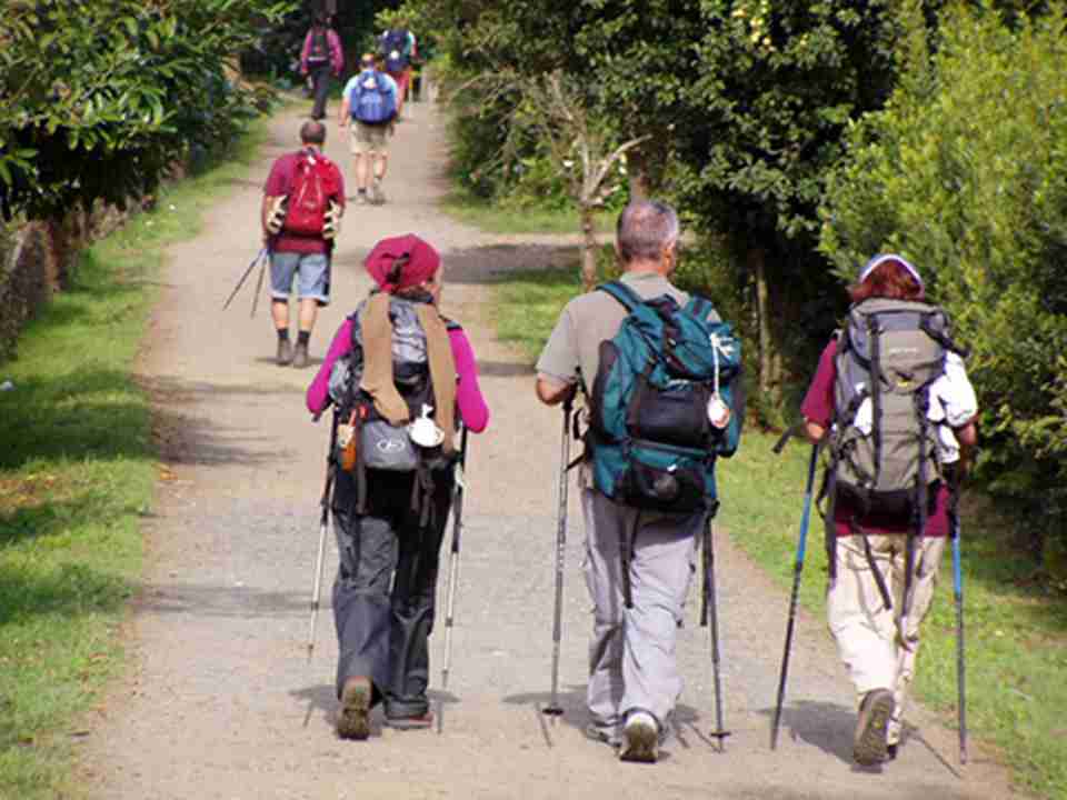 8���������������ڶ�ʥͽʥ���Ǹ�ĳ�ݣ�ǰ����ʥ���������ﲻ��