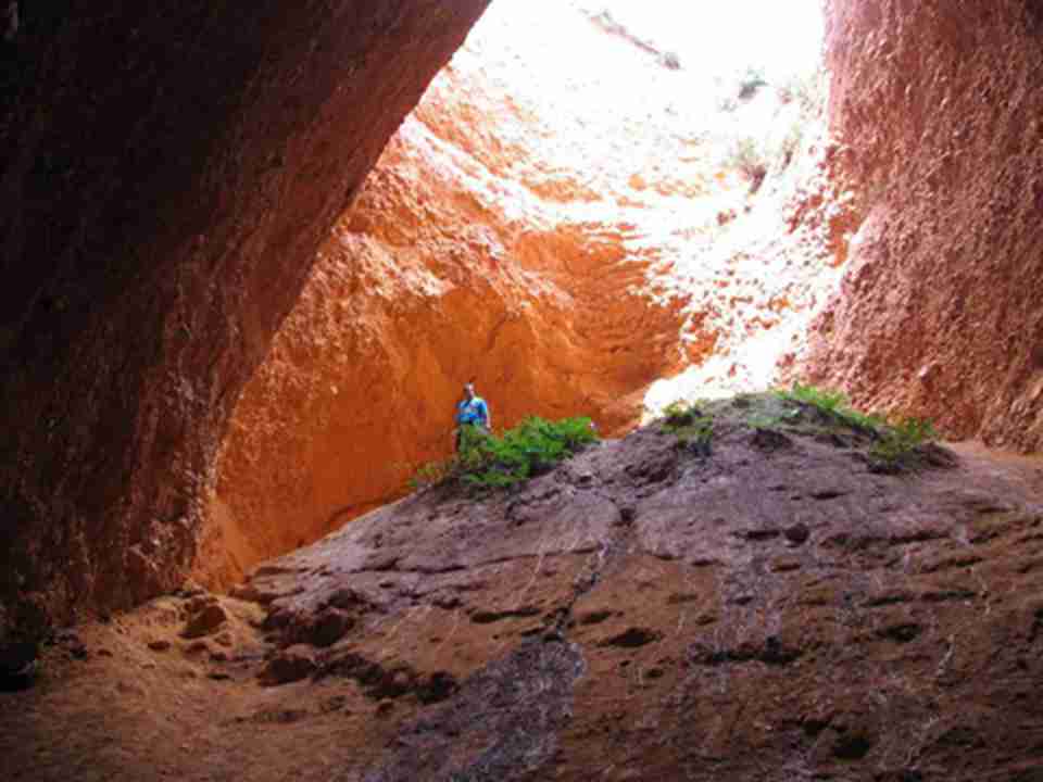 �����������͵Ŀ��ɣ������˳����ˣ�����һƬ����