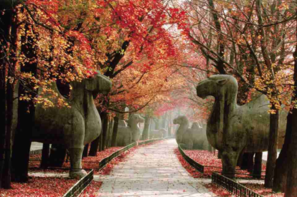 �����Ͼ�����Т��