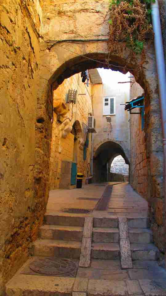 ����С�ǽֵ�