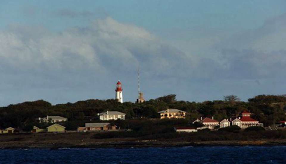 ����Ƶ���������ޱ����Ķ���������