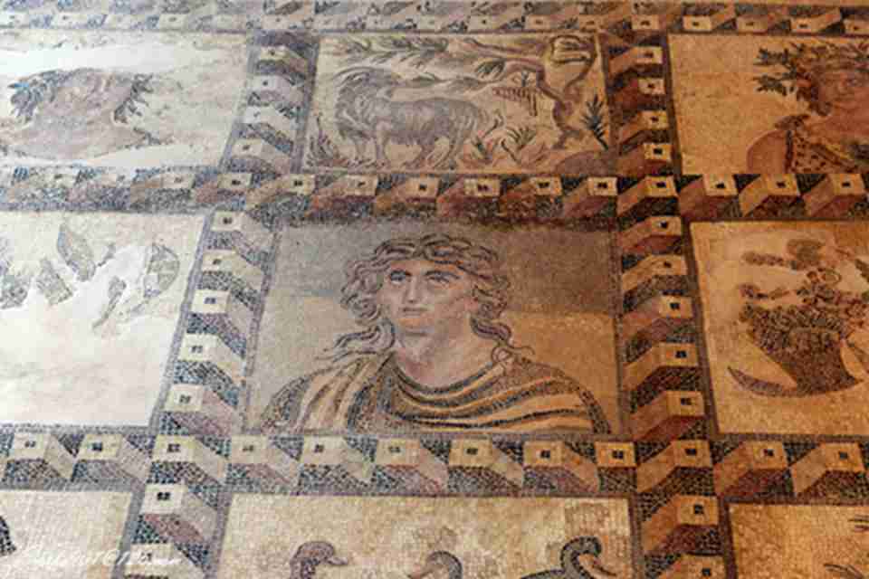 ��������Ƕ��