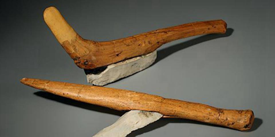 ������˹����ʷǰ����ľ׮�����ż�