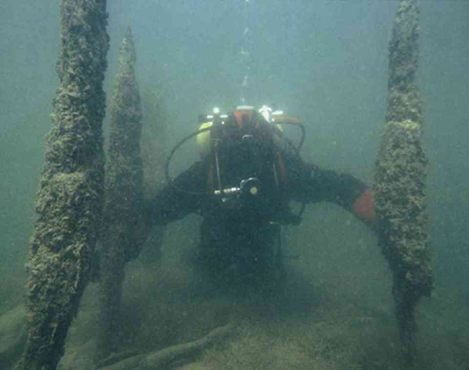 �����µ�ľ׮