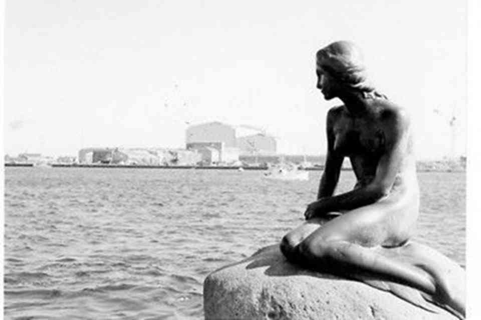 ������ŵ�����һ��޴�Ļ���ʯ��