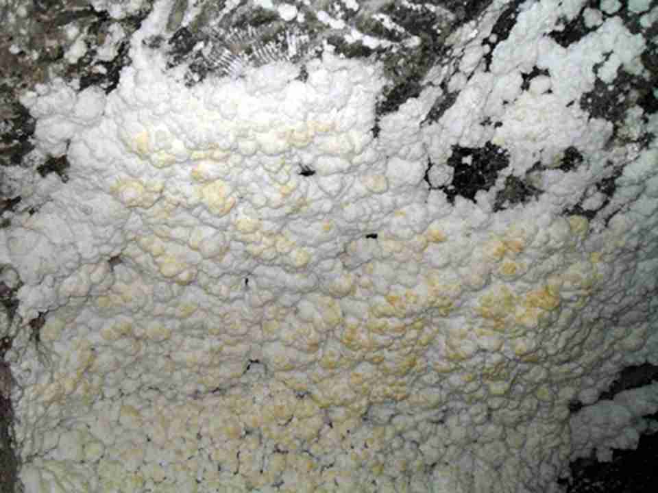 ��16���ͣ�ά���濨�ο��Ϊ��ʱŷ����Ϊ��Ҫ����ҵ֮һ