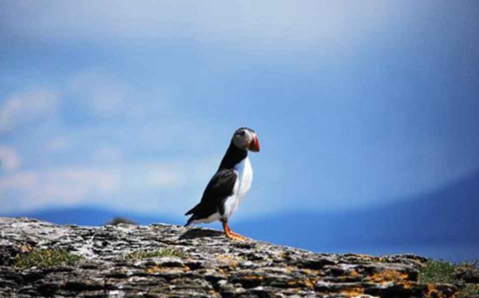 �õ���Ұ����������԰���������ϵڶ����������Ϣ��