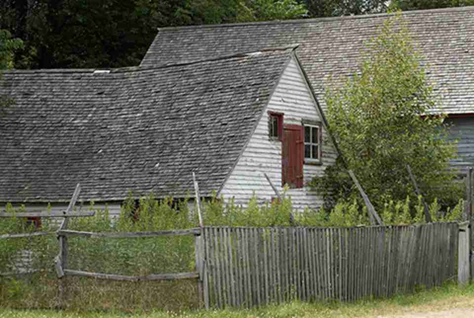 �������������˹�ɫ��������