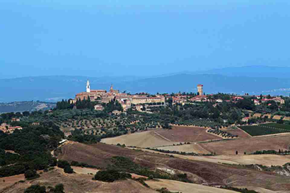 1Ƥ��������Զ�����������ܱ���ïũ���Χ