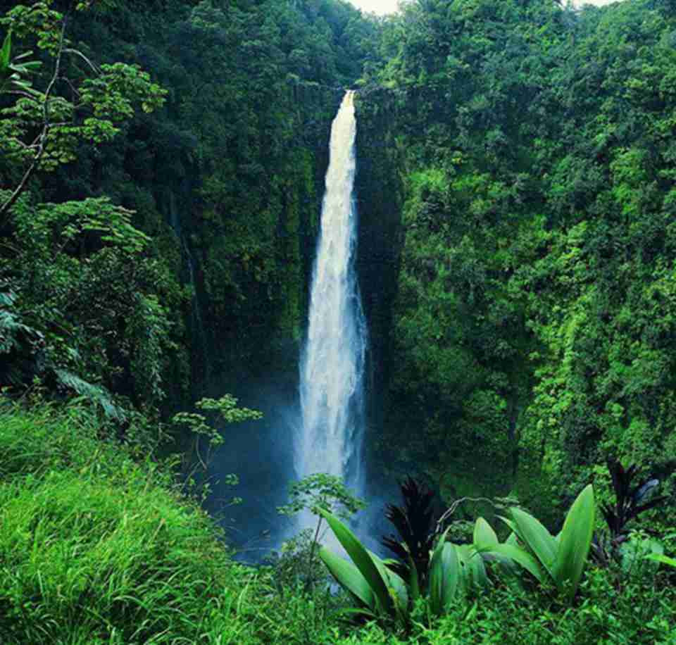 ®ɽ��һ����Ȼ��ֲ��԰