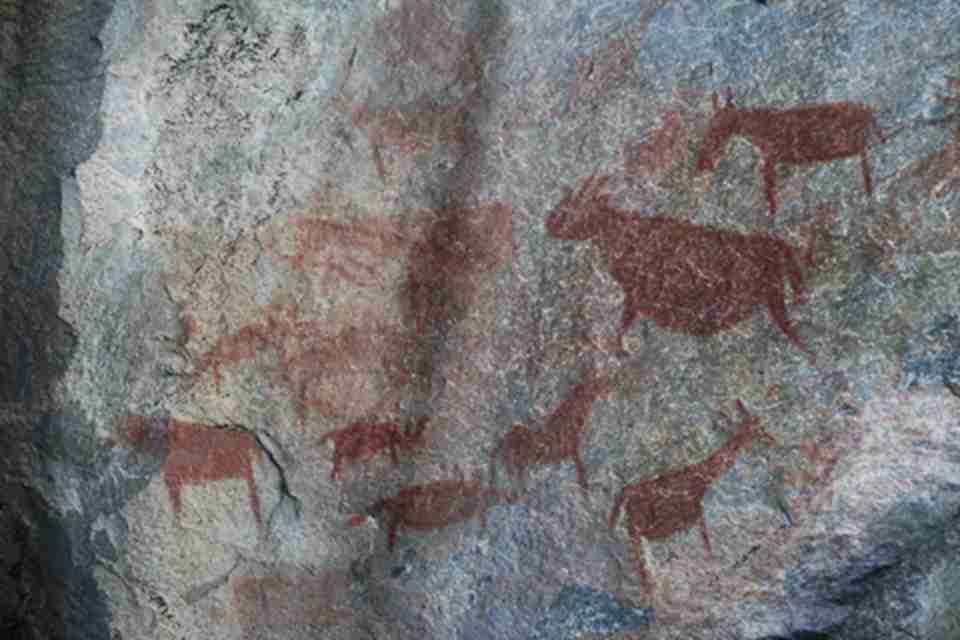 �ڻ���������ϴ����Ȼ�����ɼ�