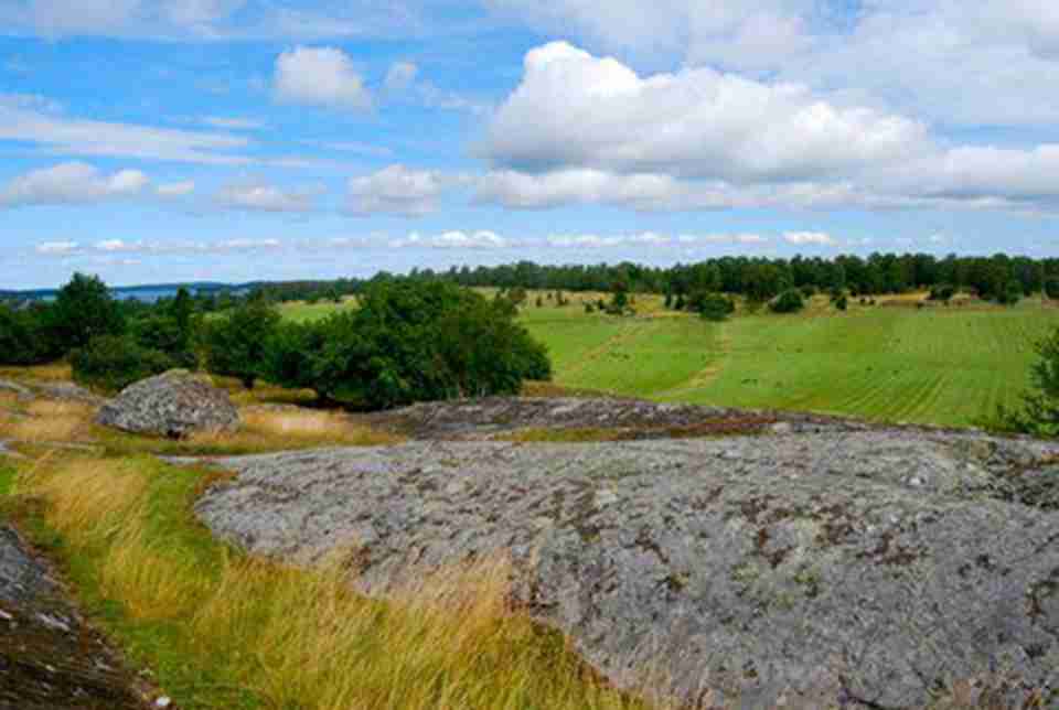 ���죬��������Ѿ���Ϊһ�����������ο͵Ĺ۹�ʤ��