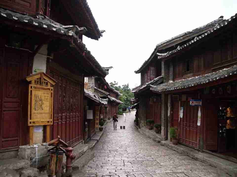 �����޹�صĵ�·������ɭ�ϵĳ�ǽ