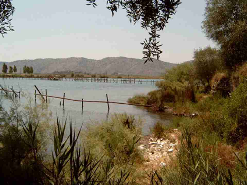 �ų��ٺ��������������ˣ�������������԰���