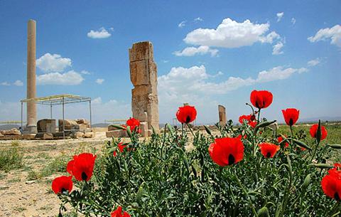 �������ӵ»�԰�͹����ǰ������������ʱ�������뽨���Ľܳ��䷶