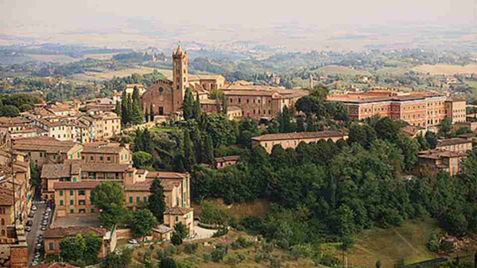 ��Ү����ȫò