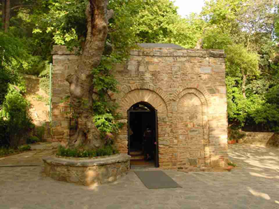 �п�����������Ȼ�����ľ���������ϵ�����ʤ��