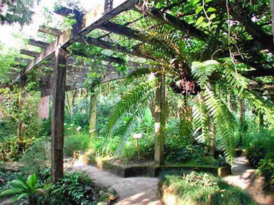 �ȴ�����