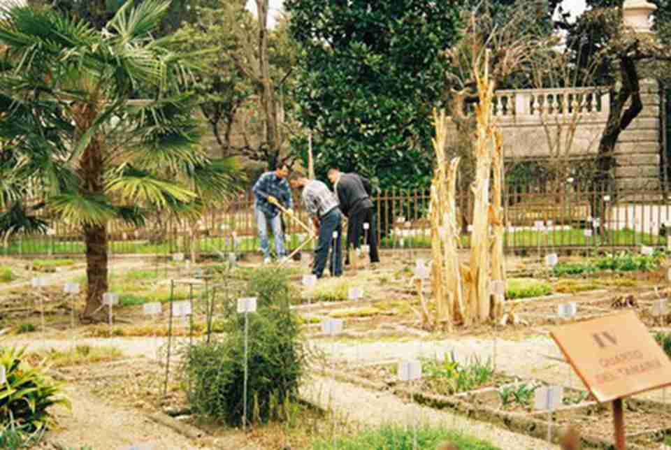 ֲ���о�������