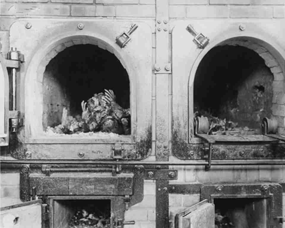 �������ϰ����������ﱻ�¹�����˹ɱ�������ֱ���Ϊ������������