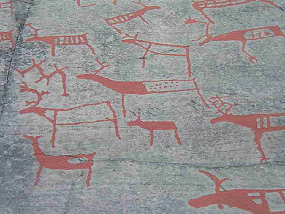 �һ���ɫȡ�ڿ����ʡ�̿�ҡ�����Ѫ������